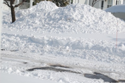Winter at my house. Photograph taken and copyrighted by Barbara Mattio 2014