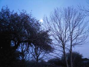 IMG00587-20111106-1728