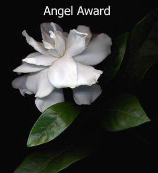 angel-Award_edited-1