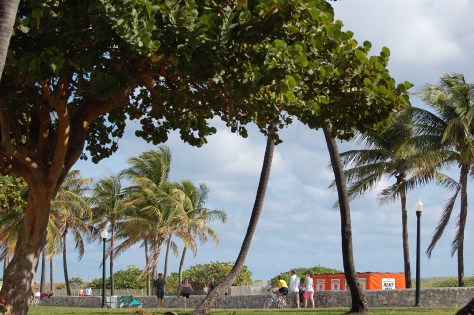 Bahama landscape. Photograph taken and copyrighted by Barbara Mattio 2013
