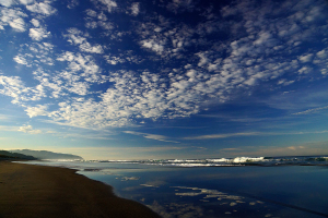 Pacific Coast in the Fall