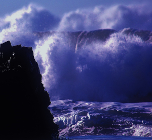 Our Favorite Beach on the Central Oregon Coast