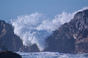 Waves at the Beach off Quail Street