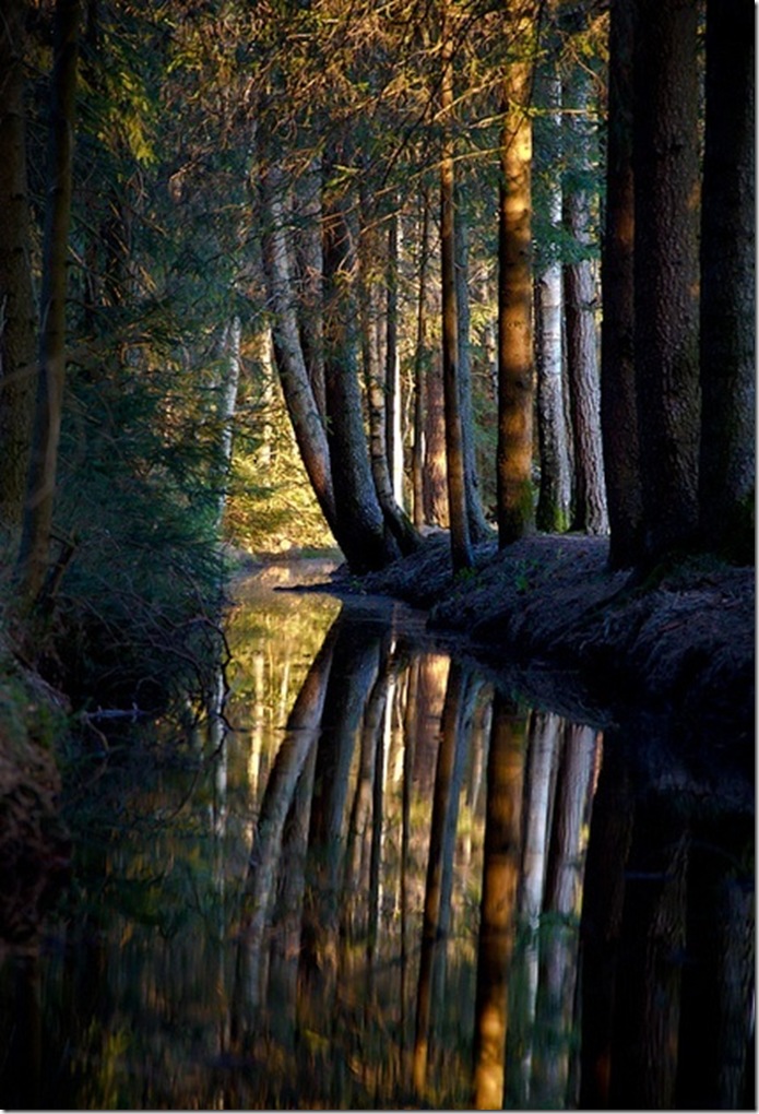 Reflections of the Real