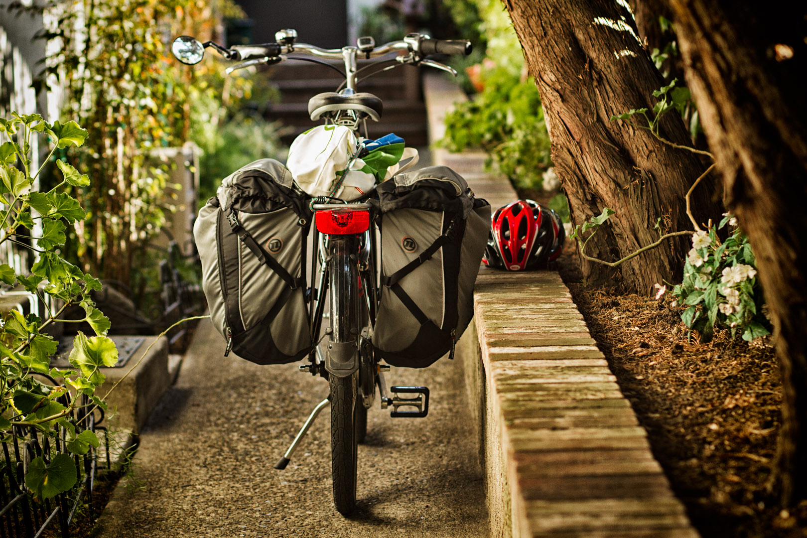 breezer uptown 8 loaded -d nelson