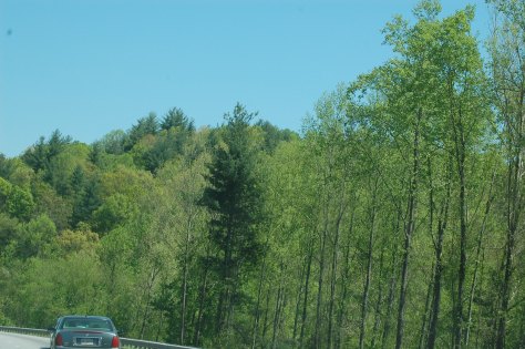 Spring colors in the Blue Ridge Mountains. Photograph taken and copyrighted by Barbara Mattio 2014
