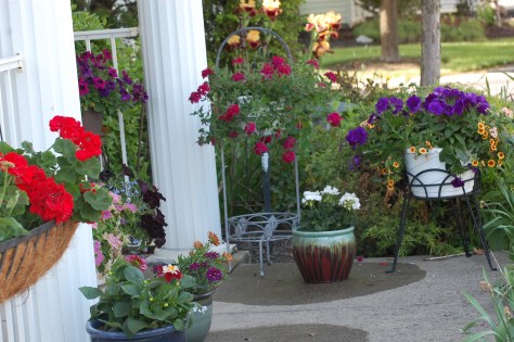 Photograph taken and copyrighted by Barbara Mattio 2014