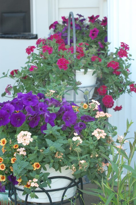 Photograph taken and copyrighted by Barbara Mattio 2014