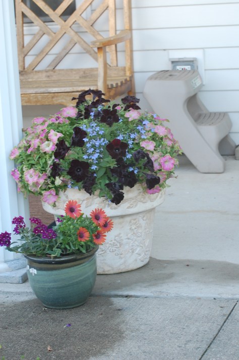 Photograph taken and copyrighted by Barbara Mattio 2014