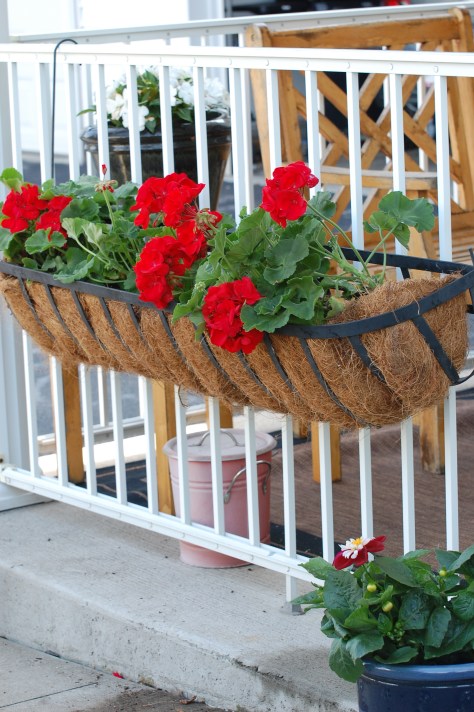 Photograph taken and copyrighted by Barbara Mattio 2014