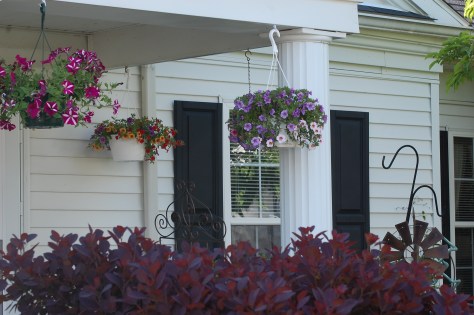 Photograph taken and copyrighted 2014 by Barbara Mattio