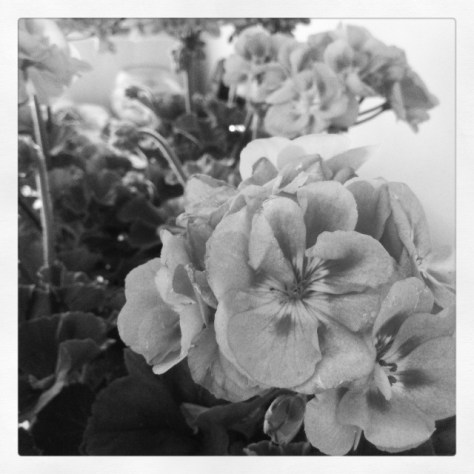 © Colline Kook-Chun, 2014