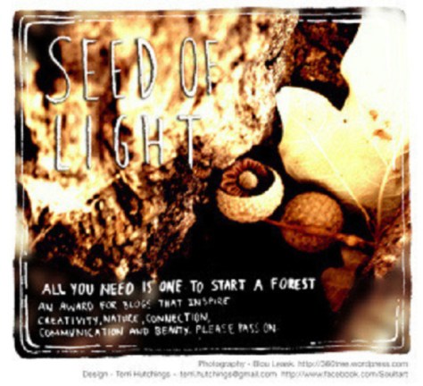 seed-of-light-award11