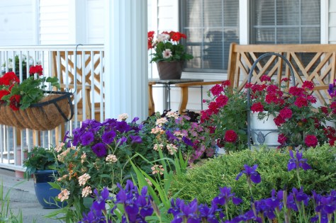 Container garden on front porch. Photographed and copyrighted by Barbara Mattio 2014