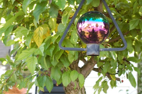 Photograph and copyrighted by Barbara Mattio 2014