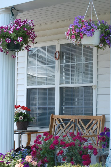 Photographed and copyrighted by Barbara Mattio 2014