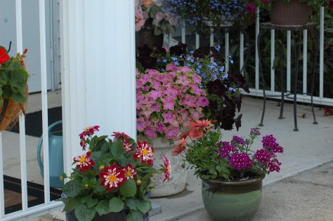 Photographed and copyrighted by Barbara Mattio 2014