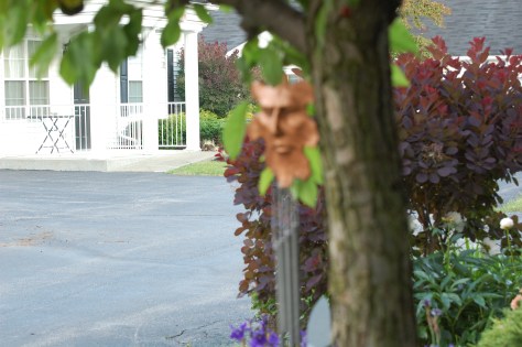 Photographed and copyrighted by Barbara Mattio 2014