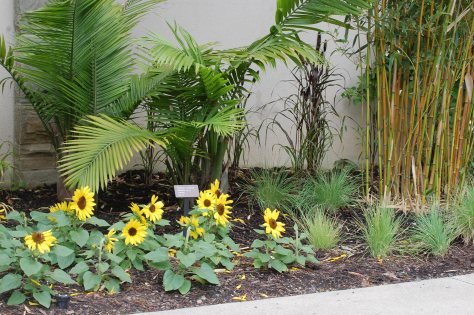 Photographed and copyrighted by Barbara Mattio 2014