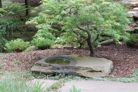 Photographed and copyrighted by Barbara Mattio 2014