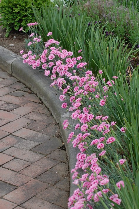 Photographed and copyrighted by Barbara Mattio 2014