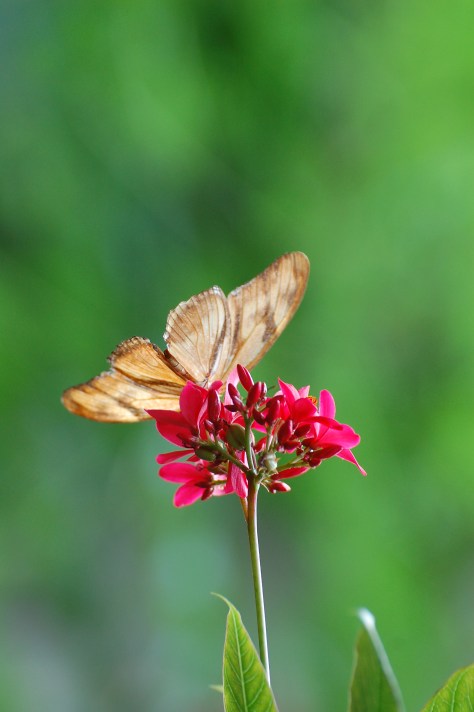 Photographed and copyrighted by Barbara Mattio 2014