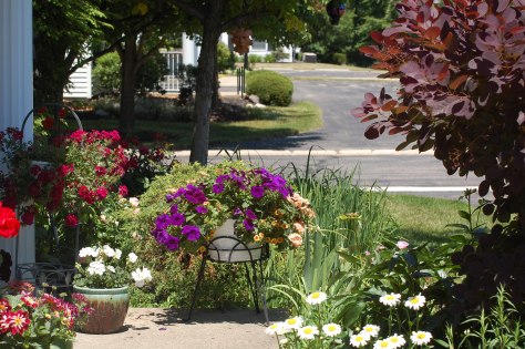 Photographed and copyrighted by Barbara Mattio 2014