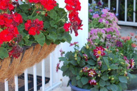 Summer smiles photographed and copyrighted by Barbara Mattio 2014