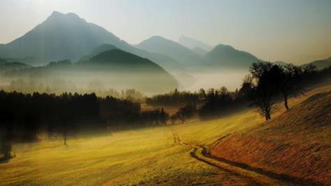 misty-morning-inthe-valley-242689