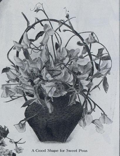 1914-06-23 c
