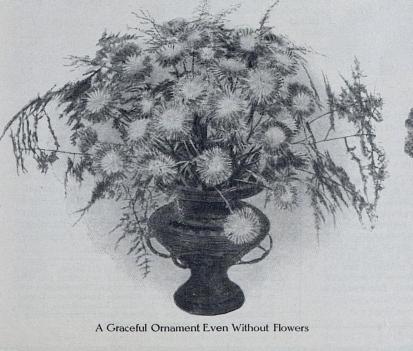 1914-06-23 g