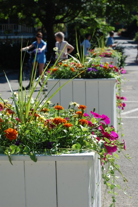 Photographed and copyrighted by Barbara Mattio 2014