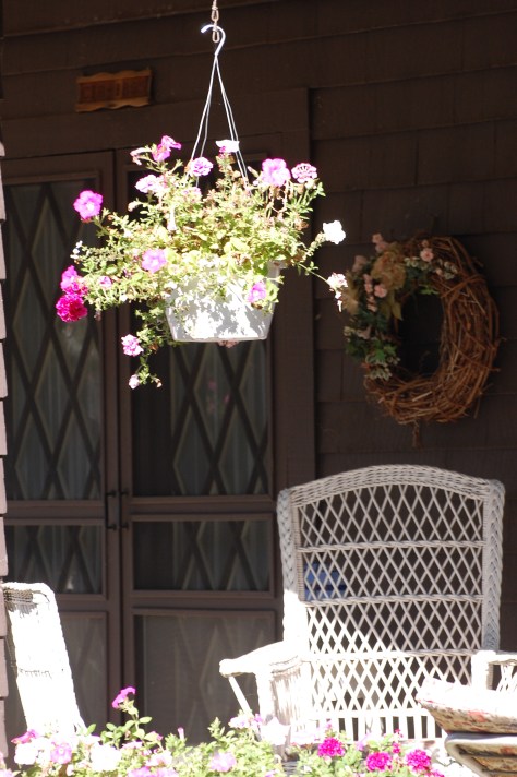 Photographed and copyrighted by Barbara Mattio 2014