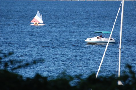 Photographed and copyrighted by Barbara Mattio 2014