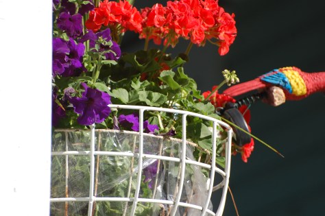 Photographed and copyrighted by Barbara Mattio 2014