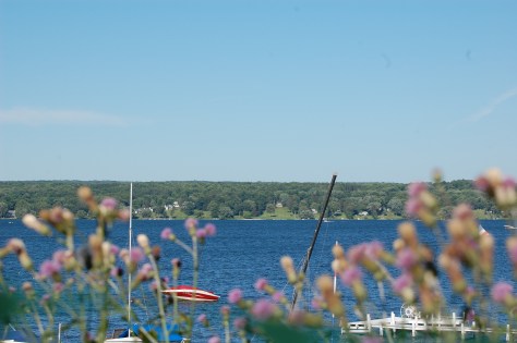 Photographed and copyrighted by Barbara Mattio 2014