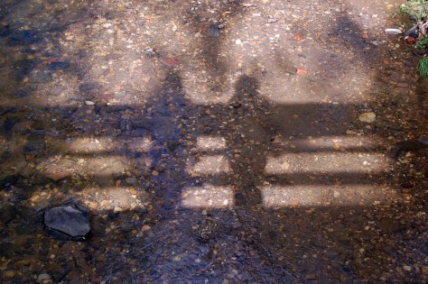 Reflections in a stream, Botanical Gardens, Asheville, North Carolina