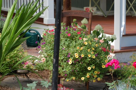 Photographed and copyrighted by Barbara Mattio 2014