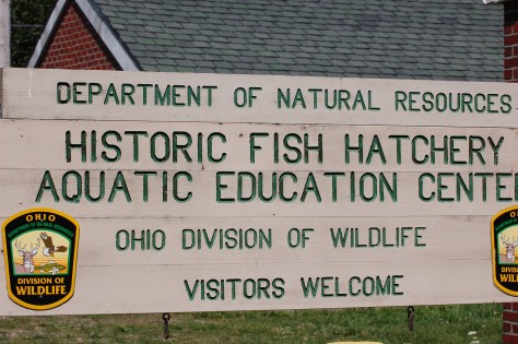 Fish hatchery. Photographed and copyrighted by Barbara Mattio 2014