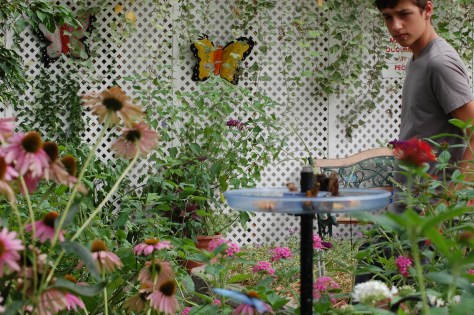 Butterfly House. Photographed and copyrighted by Barbara Mattio 2014