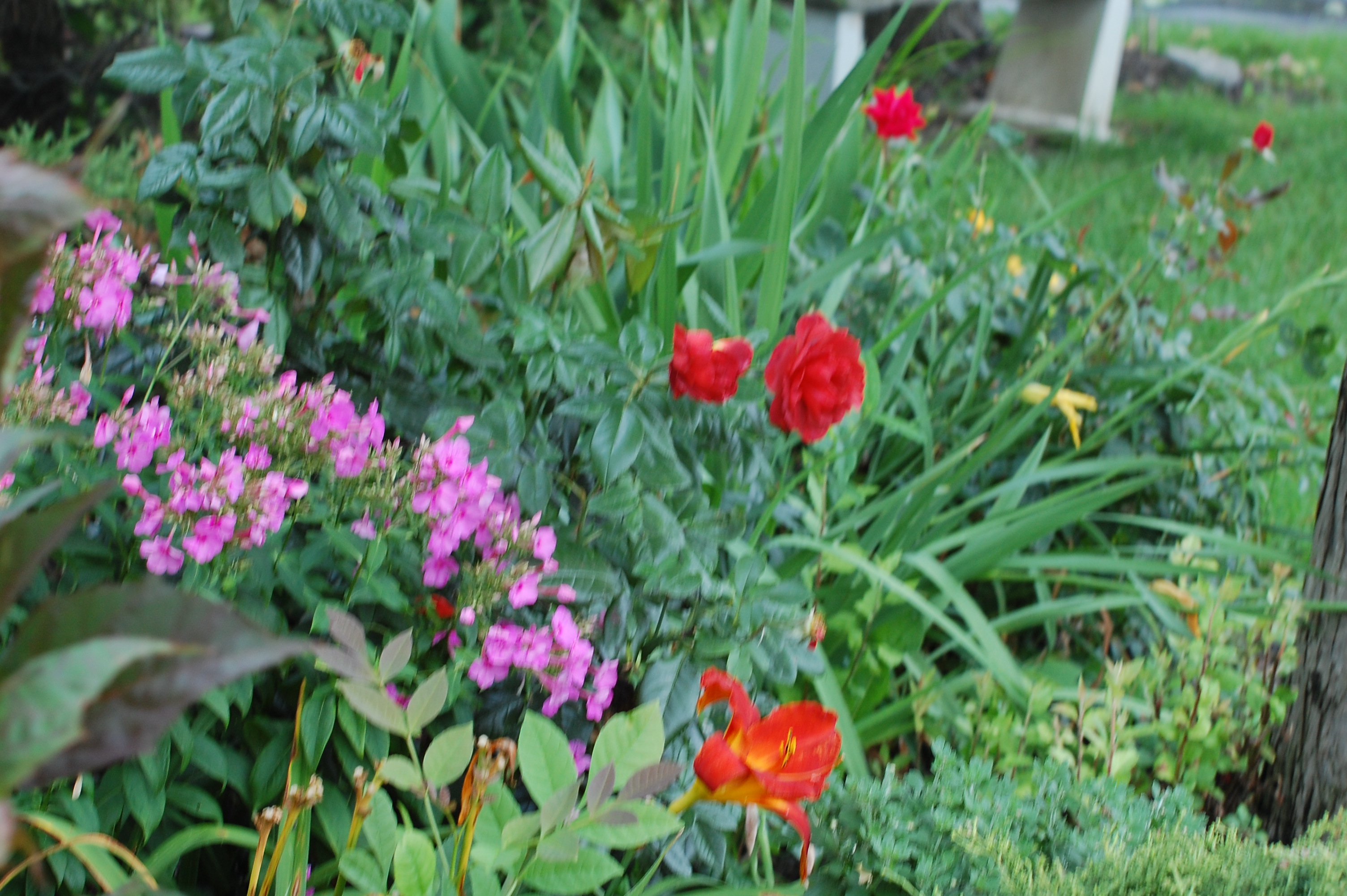 Photographed and copyrighted by Barbara Mattio 2014
