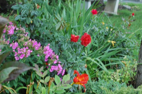 Photographed and copyrighted by Barbara Mattio 2014