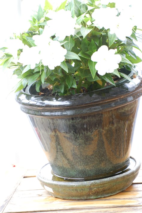 Photographed and copyrighted by Barbara Mattio 2014