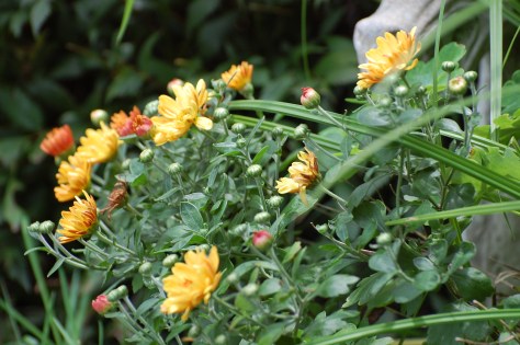 Photographed and copyrighted by Barbara Mattio 2014