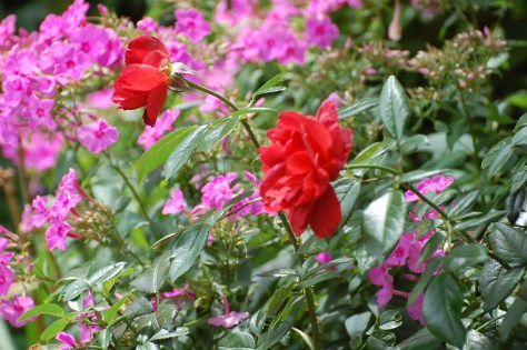 Photographed and copyrighted by Barbara Mattio 2014