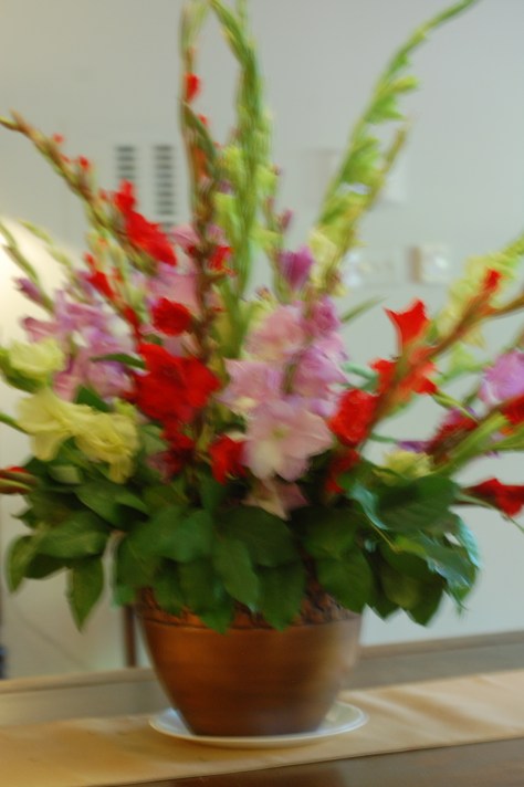 Flowers photographed and copyrighted by Barbara Mattio 2014