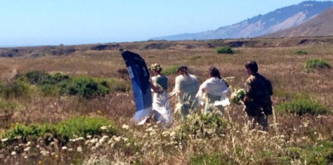 A walk through Summer grasses Before the Wedding 