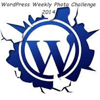 LOGO - wordpress-2014