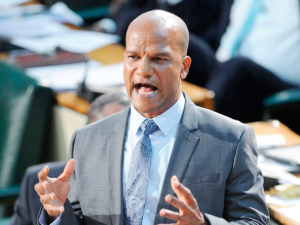National Security Minister Peter Bunting addressing Parliament yesterday. (Ricardo Makyn/Gleaner)