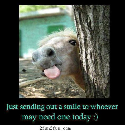 5ad30a1e77f88a3d07441259ff4d9a79